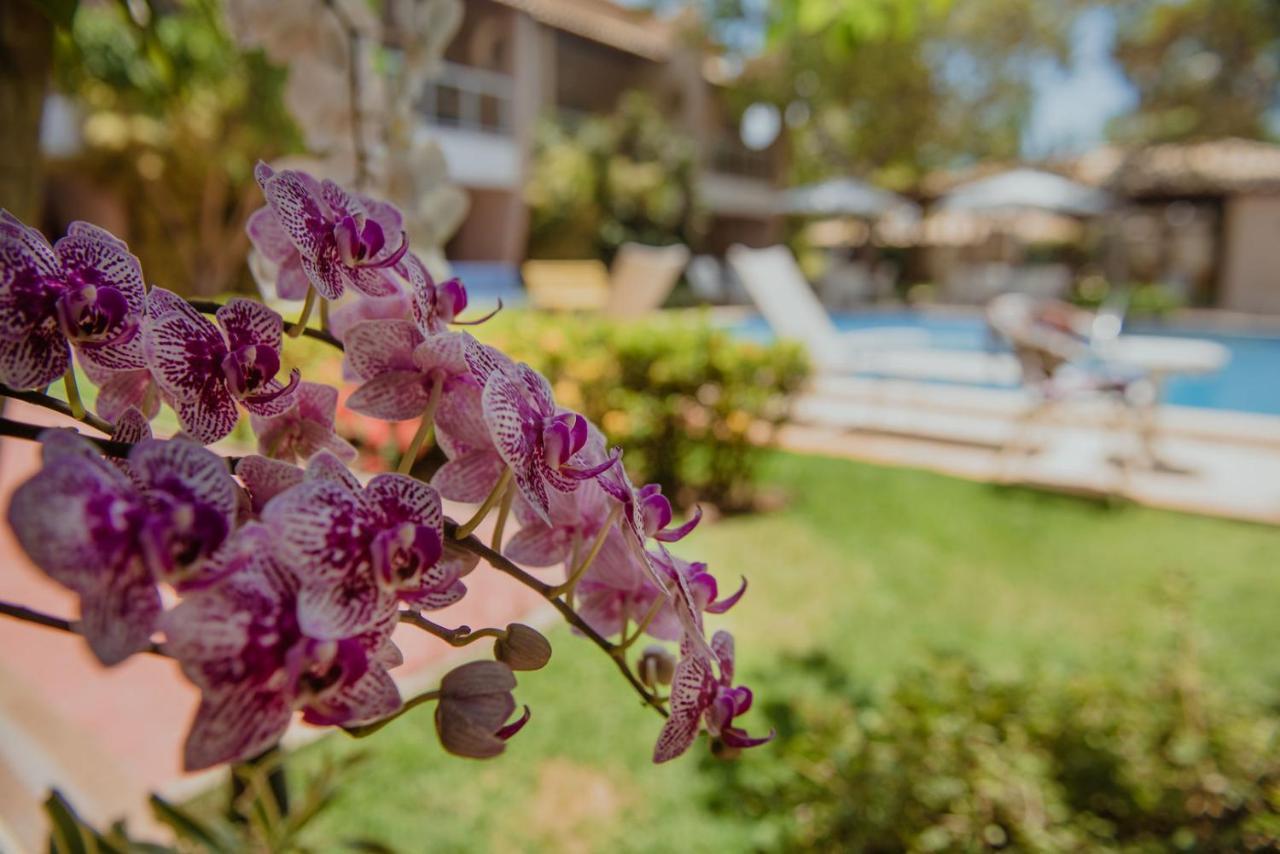 Laguna Ville 06 Итасимирим Экстерьер фото